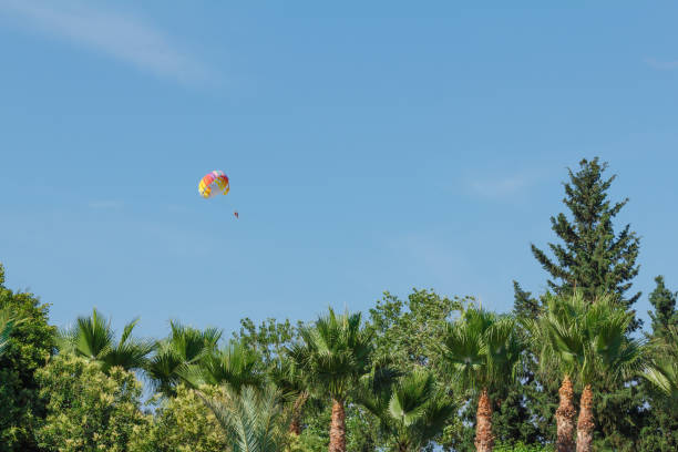 Parachuting over a sea, towing by a boat