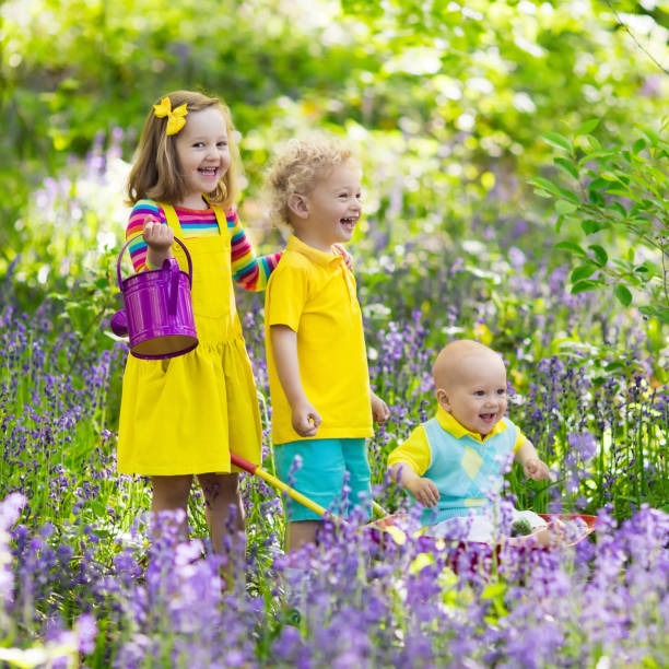 istock Kids in bluebell flower forest in summer 679923492