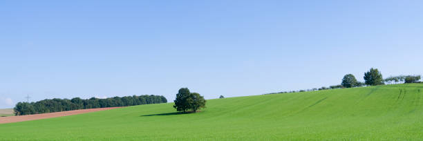 istock Germany: Hilly landscape along a rural road in Thuringia 679932640
