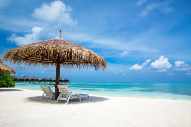 istock tropical beach in Maldives 679940004
