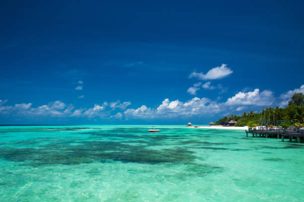 istock tropical beach in Maldives 679940008