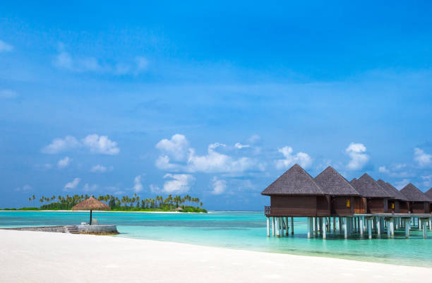 istock beach with water bungalows at Maldives 679940028