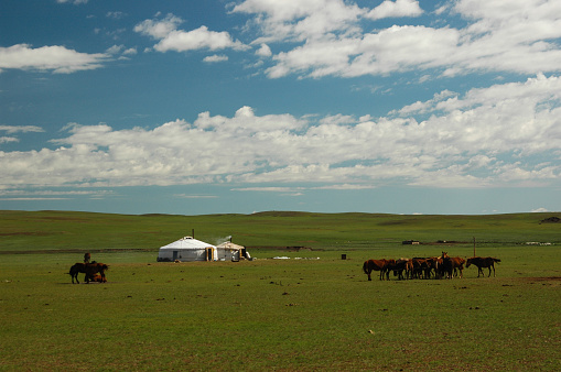Elevated aerial view of a nomadic herder ger camp in the Altai Mountain Bayan-Olgii province of Western Mongolia. The summer camp is home to herder families who migrate each season to different grazing areas with their livestock in the mountain region.