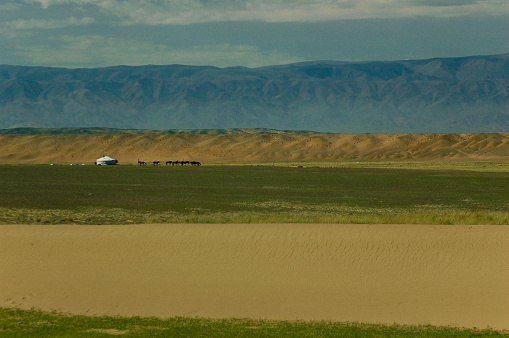 Typical mongolian landscape and steppe with horses and yurt