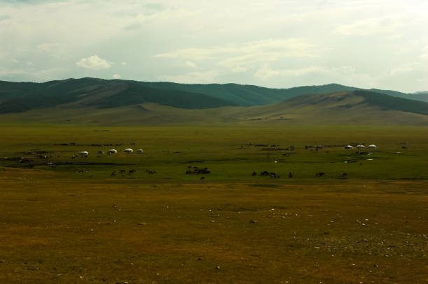 Typical mongolian landscape and steppe with horses and yurt