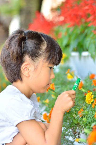 istock Girl observing flowers with insect es 679960008