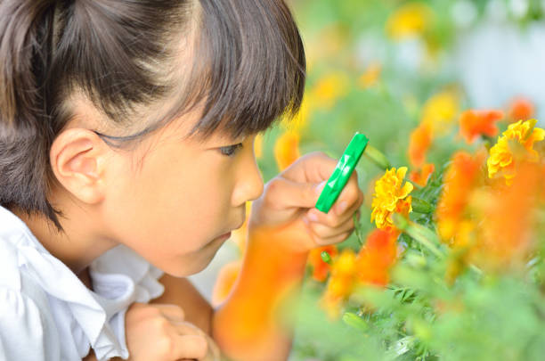 Girl observing flowers with magnifying glass