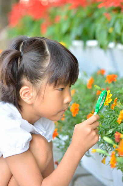 istock Girl observing flowers with insect es 679960266