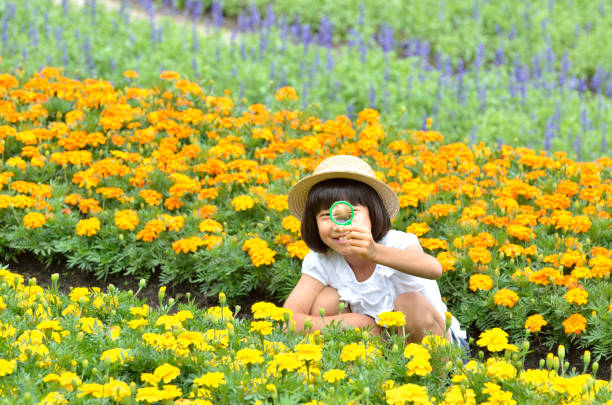 Asian children picking flowers