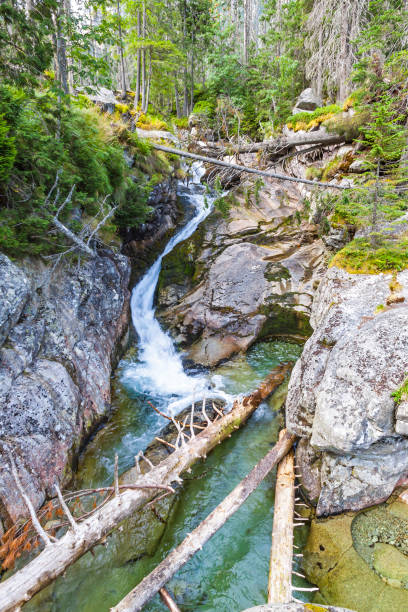 Studeny potok stream in High Tatras mountains near Stary Smokovec town, Slovakia