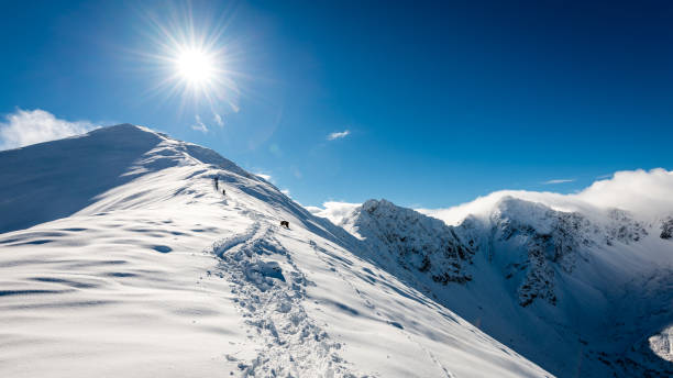 istock mountain tops in winter covered in snow with bright sun and blue sky 679975676