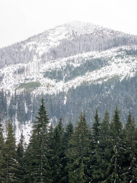 istock mountain tops in winter covered in snow 679975866