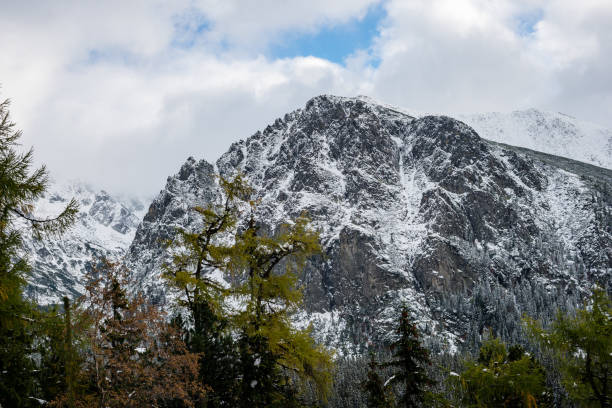 istock carpathian mountains in winter snow 679976046