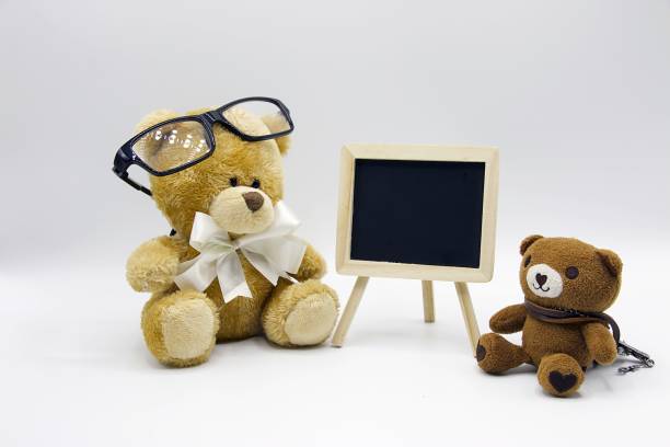 istock Bear education for back to school concept 679985786