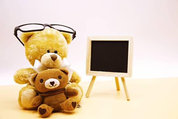 istock Bear education for back to school concept 679985790
