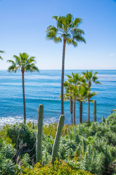 istock Laguna Beach Coastline, Orange County 679990910