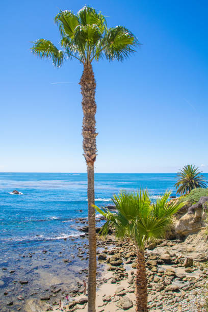 istock Laguna Beach Coastline, Orange County 679991010