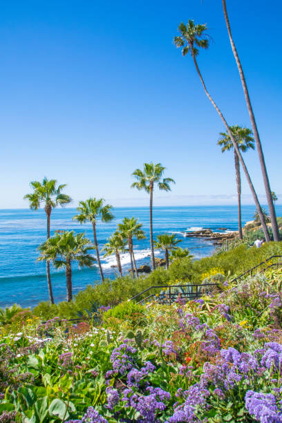 istock Laguna Beach Coastline, Orange County 679991068