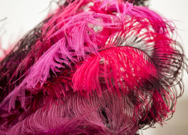 istock Beautiful red bird feathers as background 680008848
