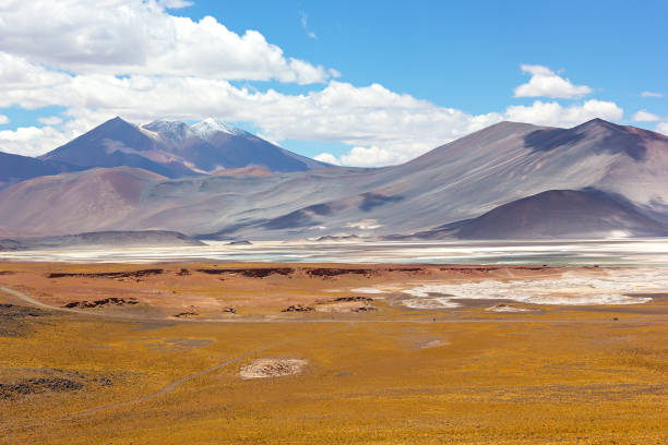 istock Colorful landscape Salar de Atacama, Chile. 680013474