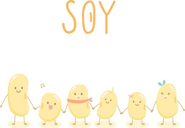 ilustrações de stock, clip art, desenhos animados e ícones de character soy bean friend - soybean isolated seed white background