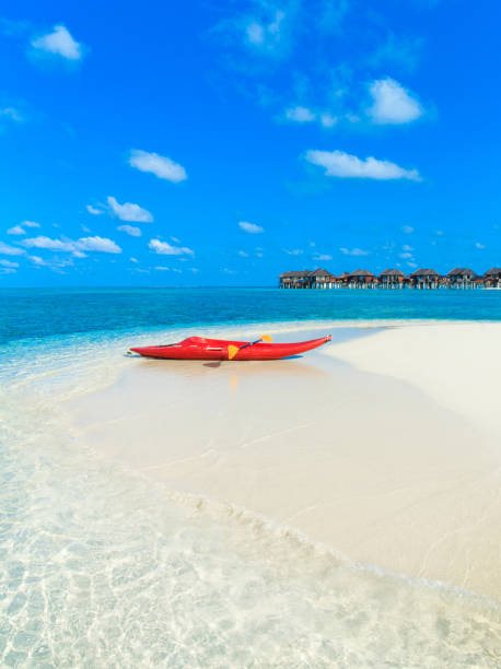 istock tropical beach in Maldives 680024164