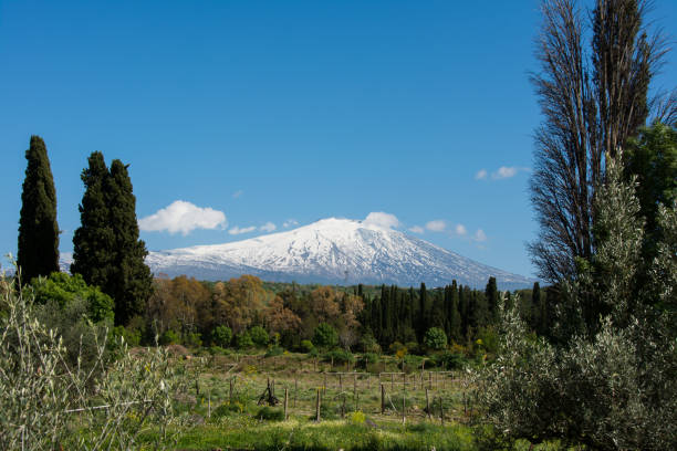 istock snow on mountain etna, big italian volcano, seen from the plain 680031508