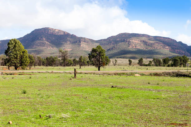 Section of the Flinders Rangers in South Australia.
