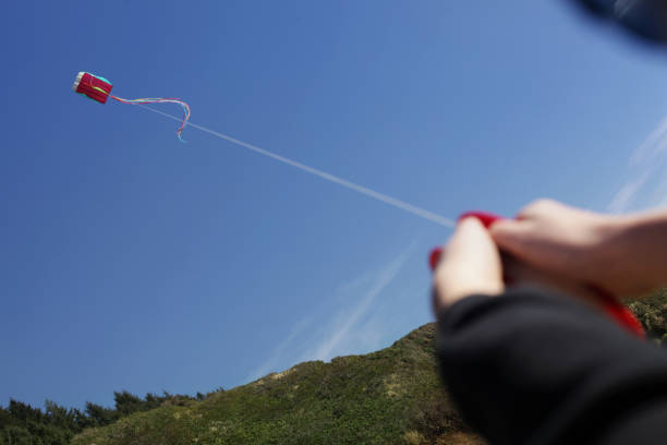 istock Kite Flying at the Beach 680038994