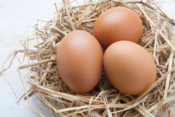 istock egg in nest on dark vintage wooden background 680051060