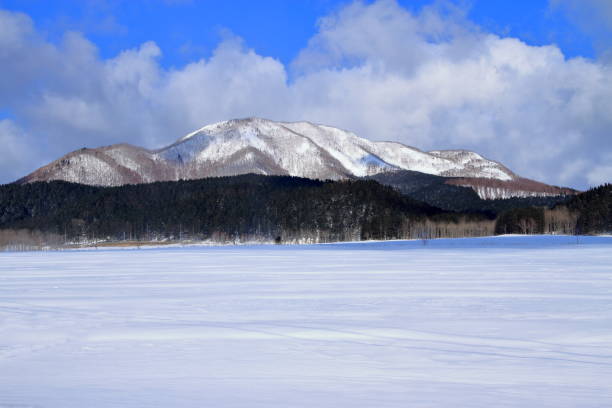 istock Winter landscape of Hokkaido 680054244