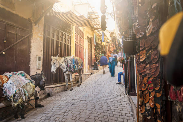 Donkeys in the medina streets of Fez