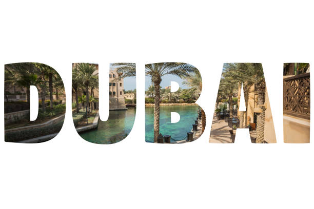 Awesome Farmal park of Abu-Dhai with palm trees an grass meadows  - downtown and seaside of Abu-Dhabi