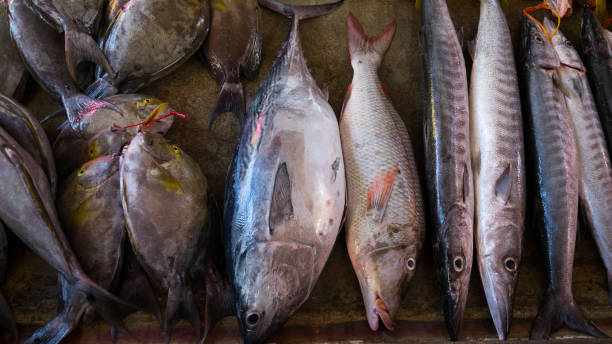 istock Fresh fish on tropical fish market 680068980