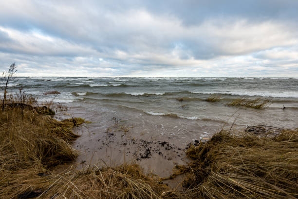 istock rocky sea beach with wide angle perspective 680071172