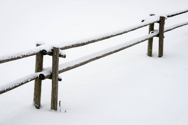 istock snowy winter field in mist 680074930