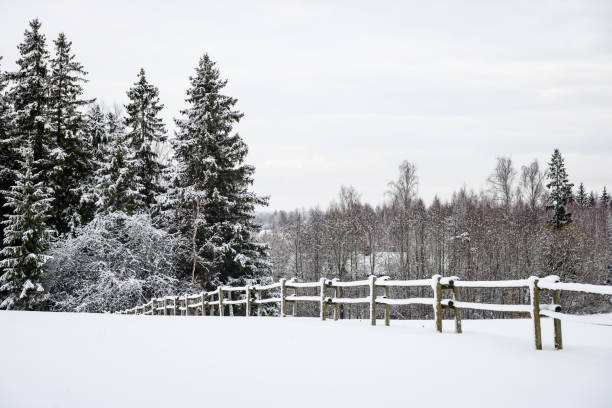 istock snowy winter field in mist 680074954