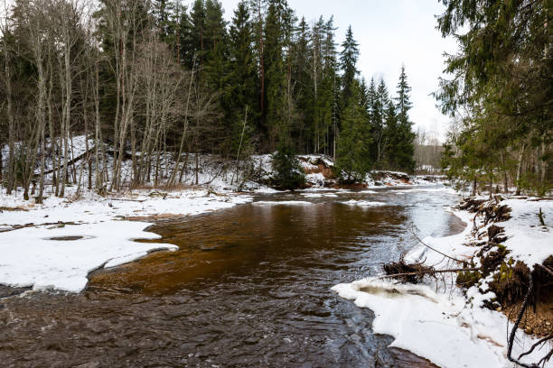 istock frozen countryside scene in winter 680075050