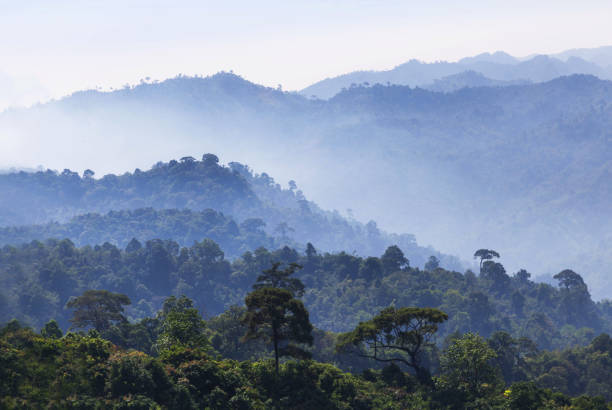 istock layer tropical mountains with white fog in early morning 680075178