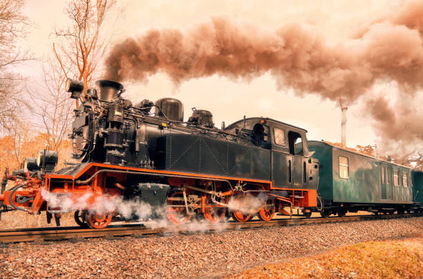 istock Historical steam train on island Rugen in Germany 680077878