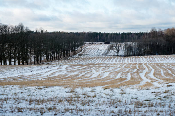 istock frozen countryside scene in winter 680090152