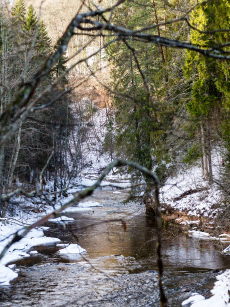istock frozen countryside scene in winter 680090156