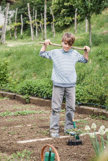 istock Teenage Boy in Vegetable Garden 680092764