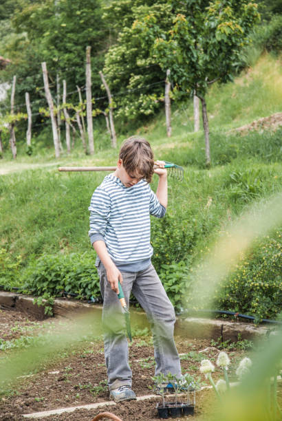 istock Boy Wondering What to Plant 680092766