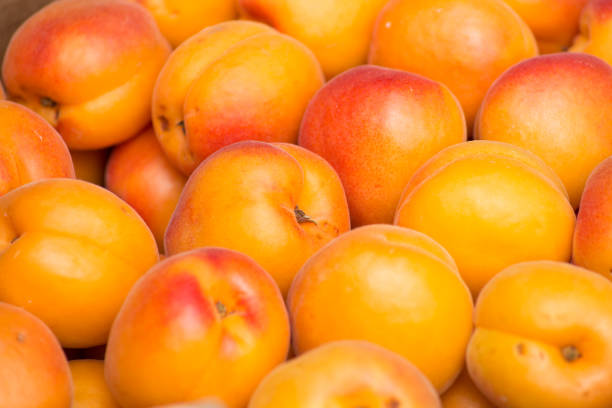 istock fruits and vegetables in germany city market 680094424
