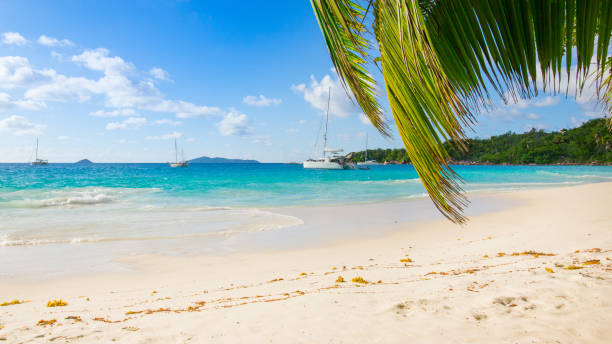istock Beautiful tropical beach: Anse Lazio, Praslin Island 680097324