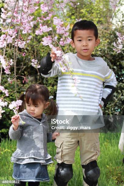 Japanese Brother And Sister And Cherry Blossoms Stock Photo - Download Image Now
