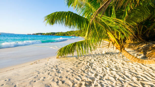 istock Beautiful tropical beach: Anse Lazio, Praslin Island 680104142