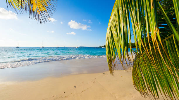 istock Beautiful tropical beach: Anse Lazio, Praslin Island 680104688