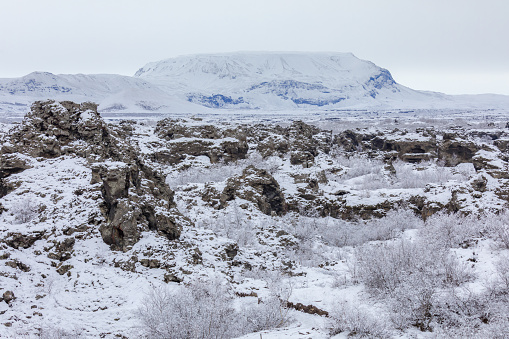 Winter landscape with snow covered trees at Dimmuborgir Lake Myvatn, Iceland